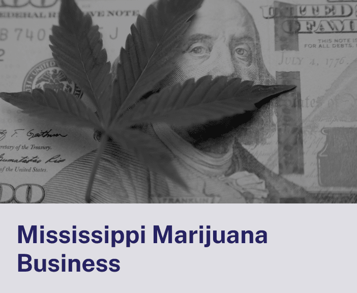 Mississippi Marijuana Business