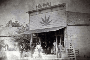 Mississippi cannabis history