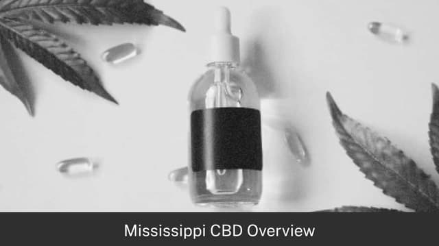 Mississippi CBD