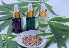 Mississippi Active Medical Marijuana Patients in 2025.png